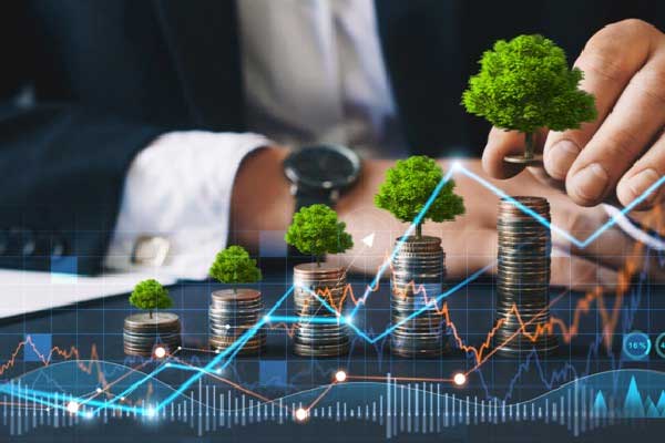 FOF主厨的定制家宴