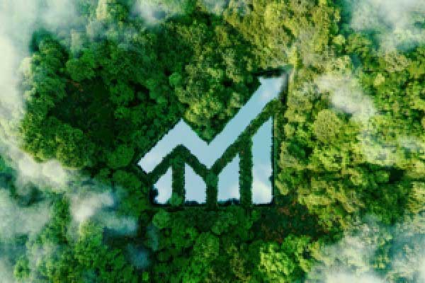 特朗普政府就美联储主席人选征询意见 债市参与者看好里克里德